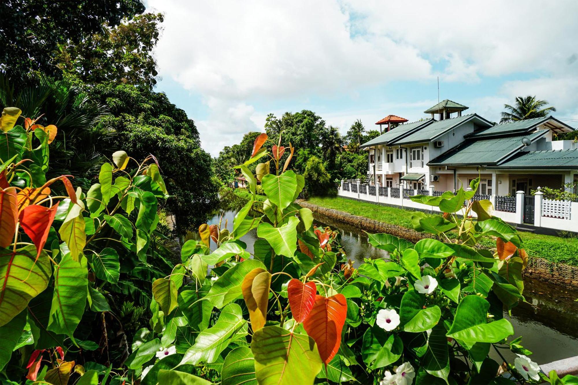 Ayur Ayur White Sail Villa Dalupotha Zewnętrze zdjęcie